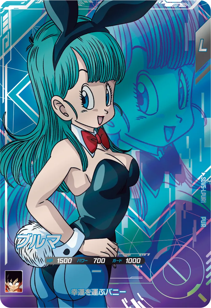 SDV5-LPUR1 ブルマ