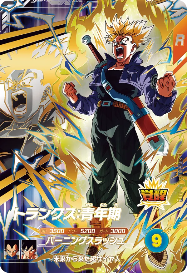 SDV5-PUR4 トランクス：青年期